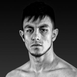 Jose Luis Gallegos fighter profile