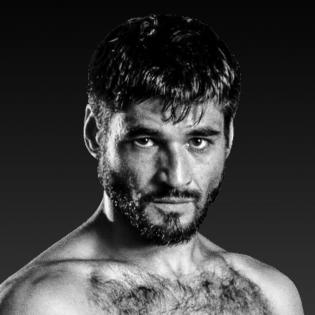 Mike Gavronski fighter profile