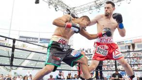 Guerrero vs Martinez highlights: June 6, 2015