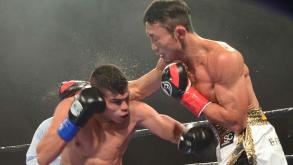 Castillo vs Obara full fight: November 7, 2015