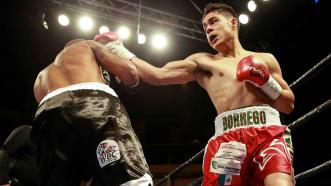 Miguel Borrego set to shine against Cameron Krael